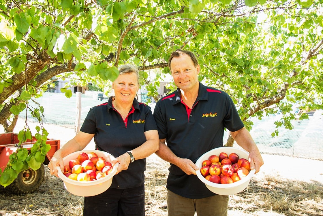 Sue and Steve Collins from Solarfruit Australia