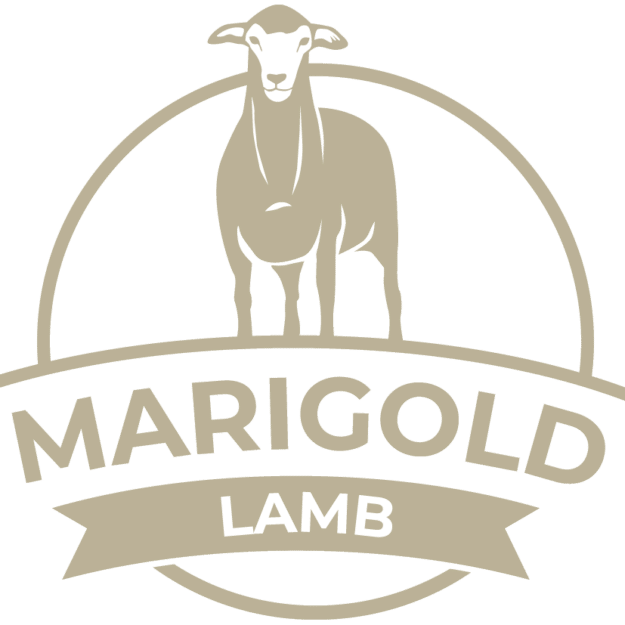 Marigold Lamb - Perth