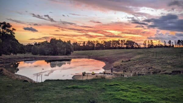 Stunning view from a Jacaranda Hill Farm camp site