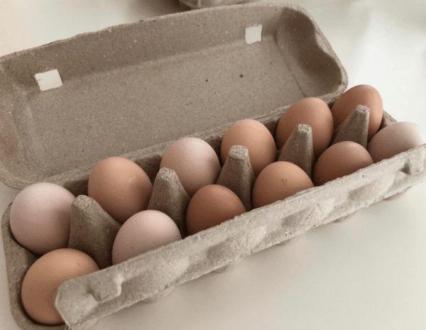 fresh pastured eggs from the chittering valley