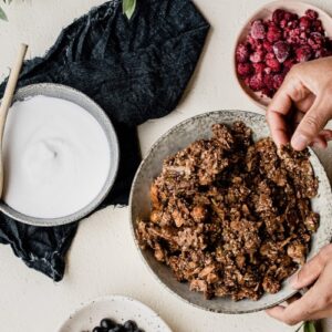 Chocolate Granola - Primal Alternative By Michelle